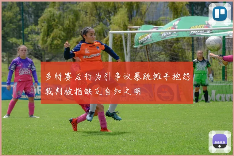 多特赛后行为引争议暴跳摊手抱怨裁判被指缺乏自知之明