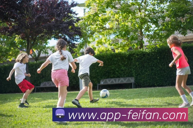 App Interface Preview