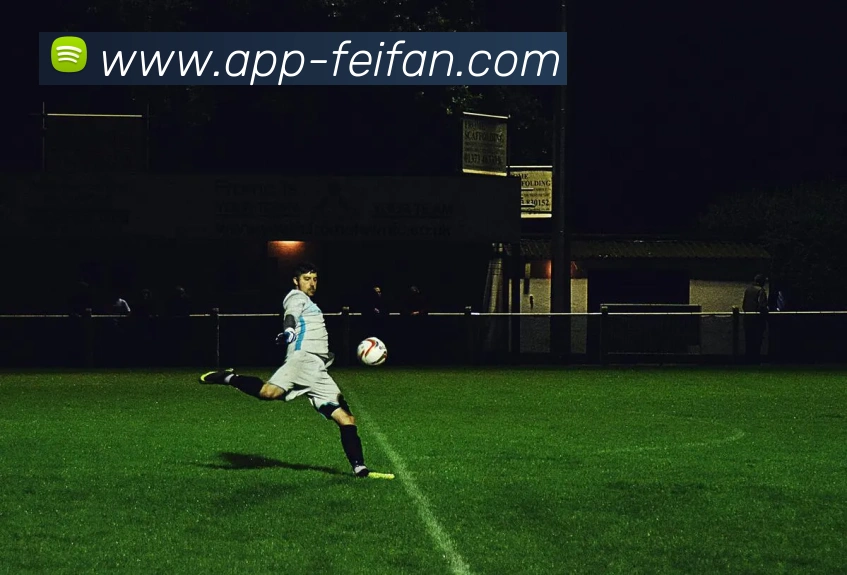 feifan官网APP全站App